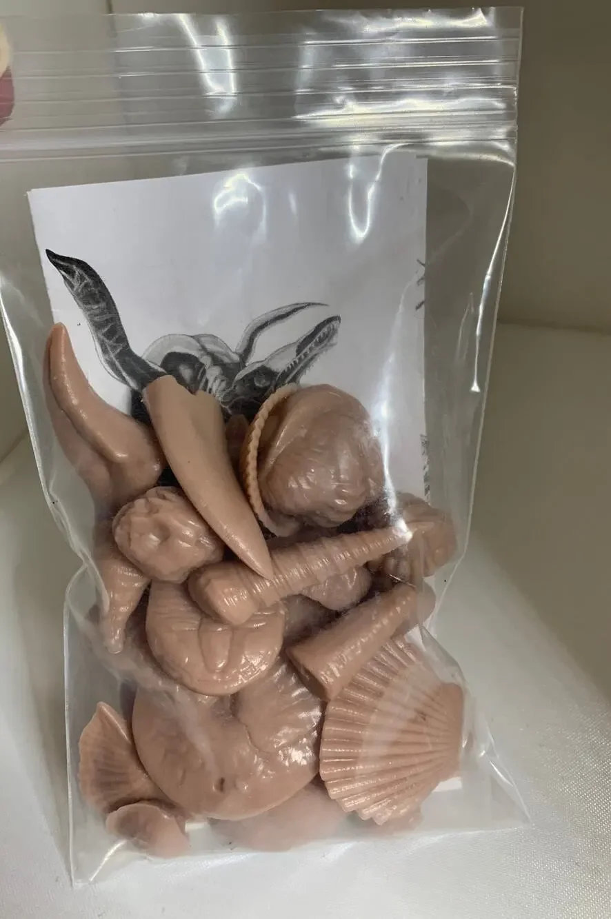 Carolina Fossil Guide Kit 3.1oz GEO8406 3067 Set of 21